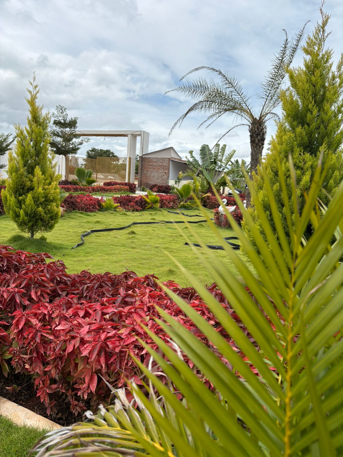 Gallery item 43